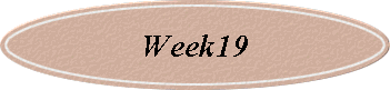 Week19